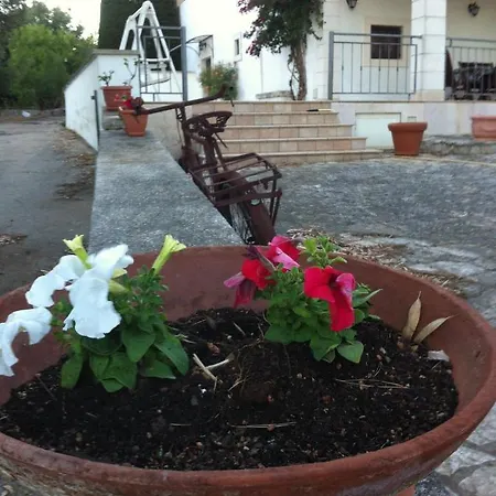 Ottocento *